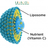 LIPOSOME mỹ phẩm