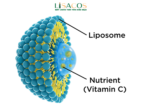 LIPOSOME mỹ phẩm